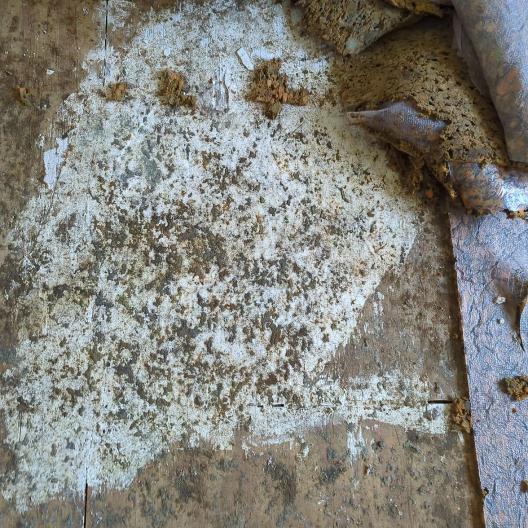 Pressure Washing