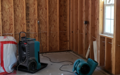 How Long Does It Take for Flood Damage to Cause Mold in a Home?