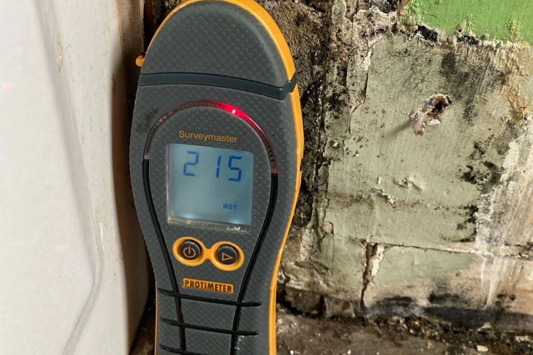 Mold Inspection Cincinnati