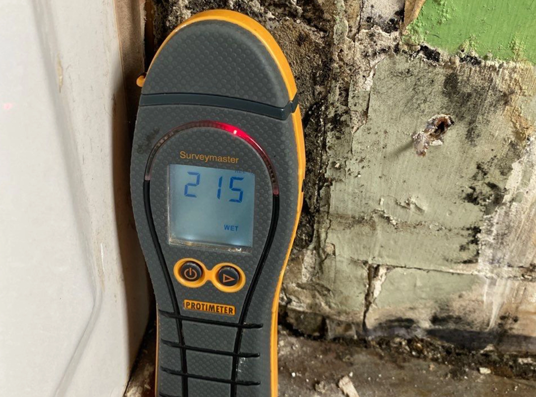 Mold Inspection Cincinnati