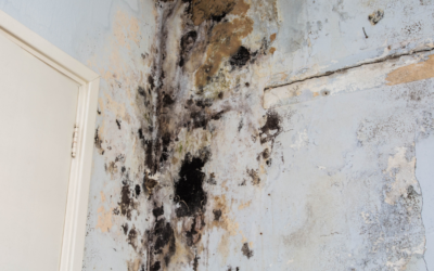 Can A One-Time Water Leak Cause Mold?