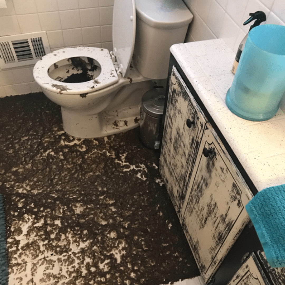 sewage backup (2) Pressure Washing