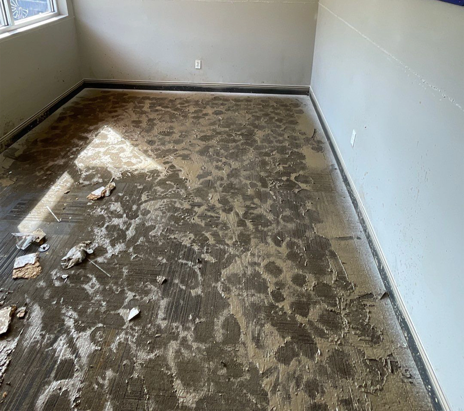 flood damage cleanup