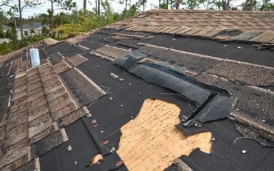 How to Spot Roof Damage After a Summer Storm