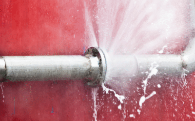 How To Stay Safe from Water All Year Round