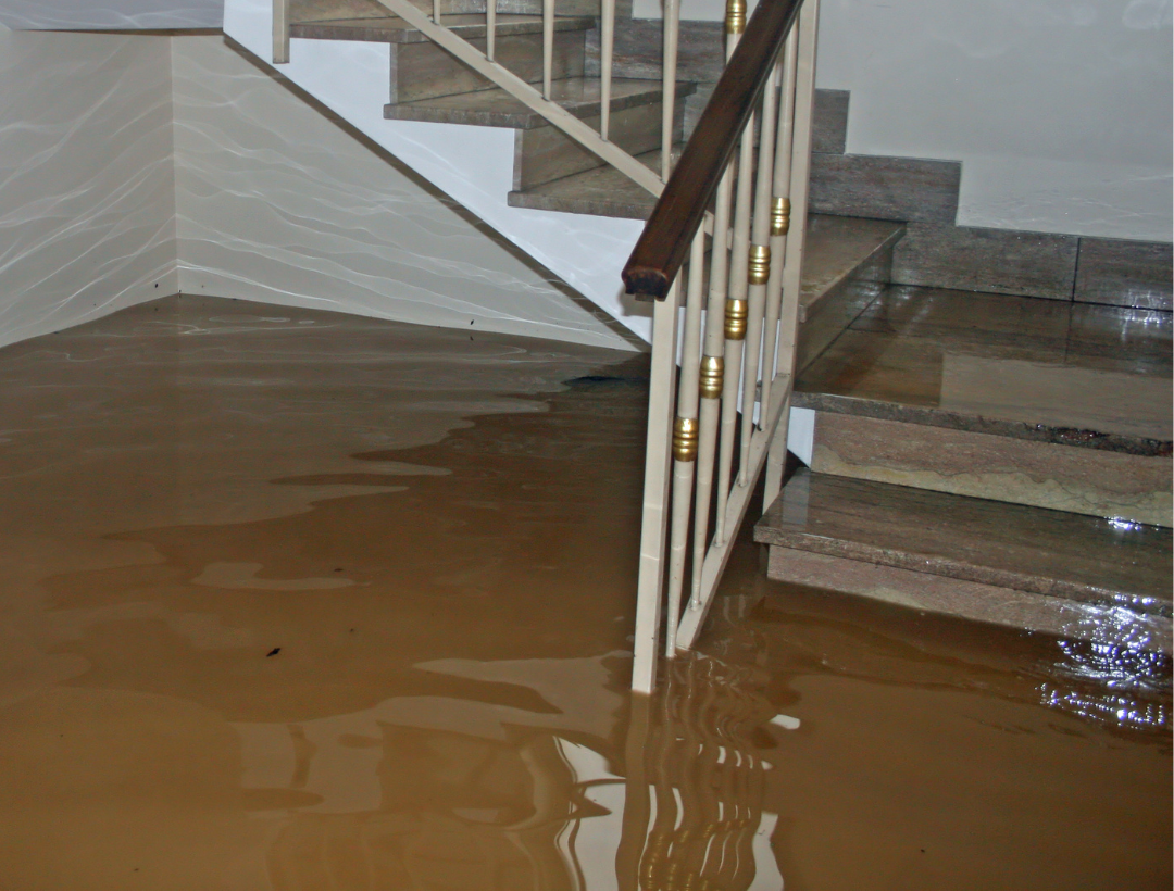 Flooded Basement