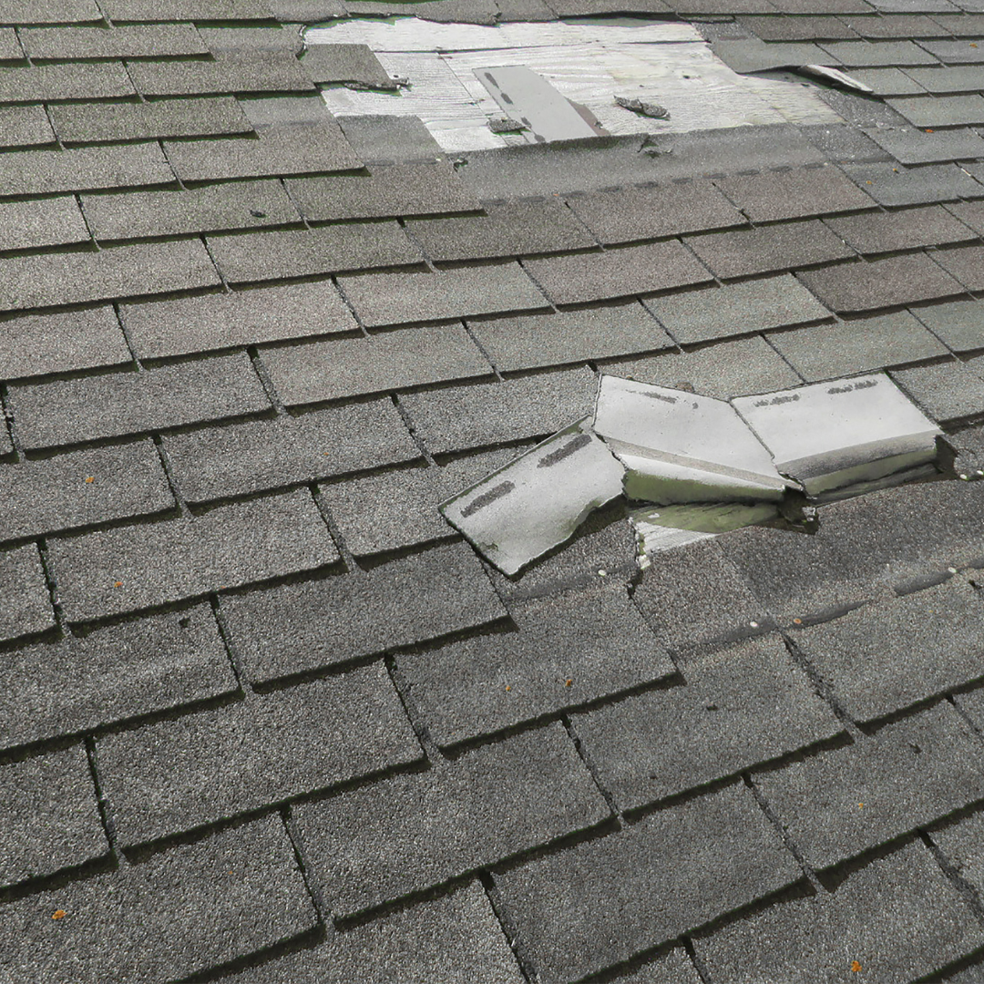 Pressure Washing