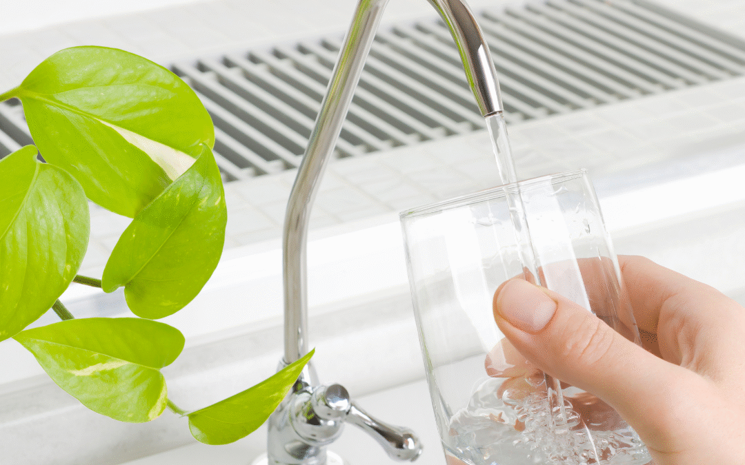Is Your Tap Water Really Safe? Common Water Quality Issues in Northern Kentucky and Greater Cincinnati