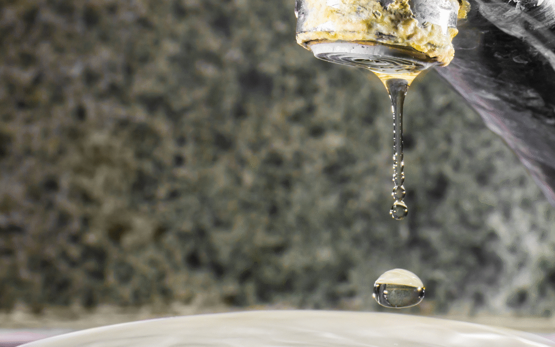 Hard Water vs. Soft Water: What Every Homeowner Needs to Know