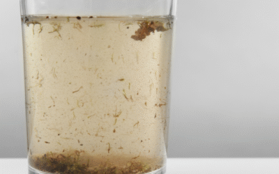 What’s in Your Water? Understanding Sediment, Minerals, and Contaminants