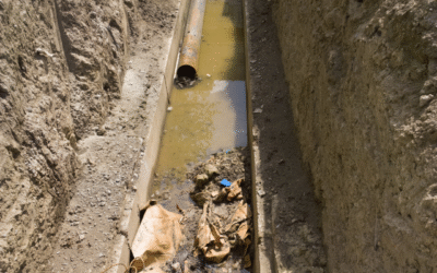 What Homeowners Should Know About Drain Repair Services