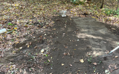 Sewer Line Replacement & Clean-Out Installation in Covington, KY